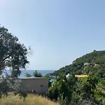 Nouli