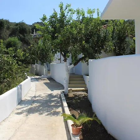 Nouli Sarakiniko (Epirus)