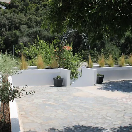 Nouli * Sarakiniko (Epirus)