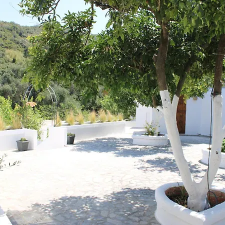 Nouli Hotel Sarakiniko (Epirus)
