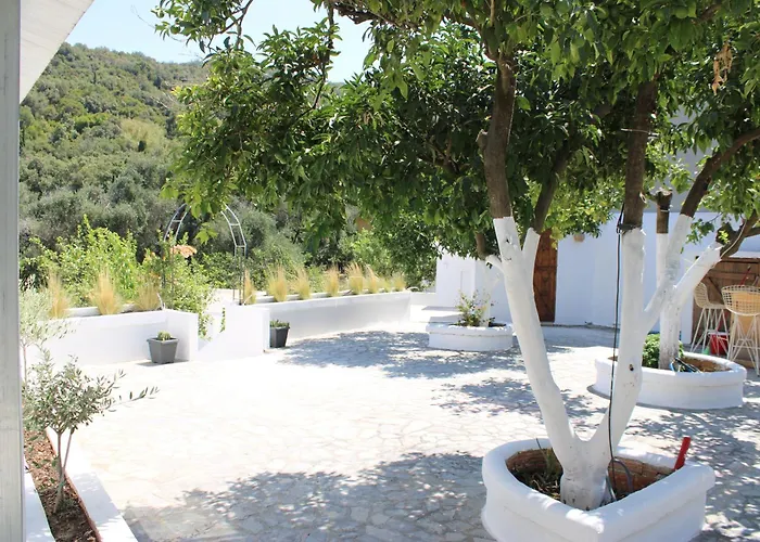 Nouli Hotel Sarakiniko (Epirus)